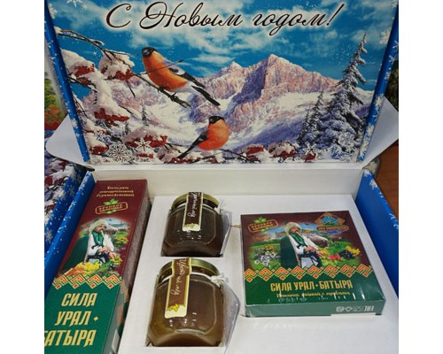 Подарочный набор новогодний «Сила Урал-Батыра» с медом