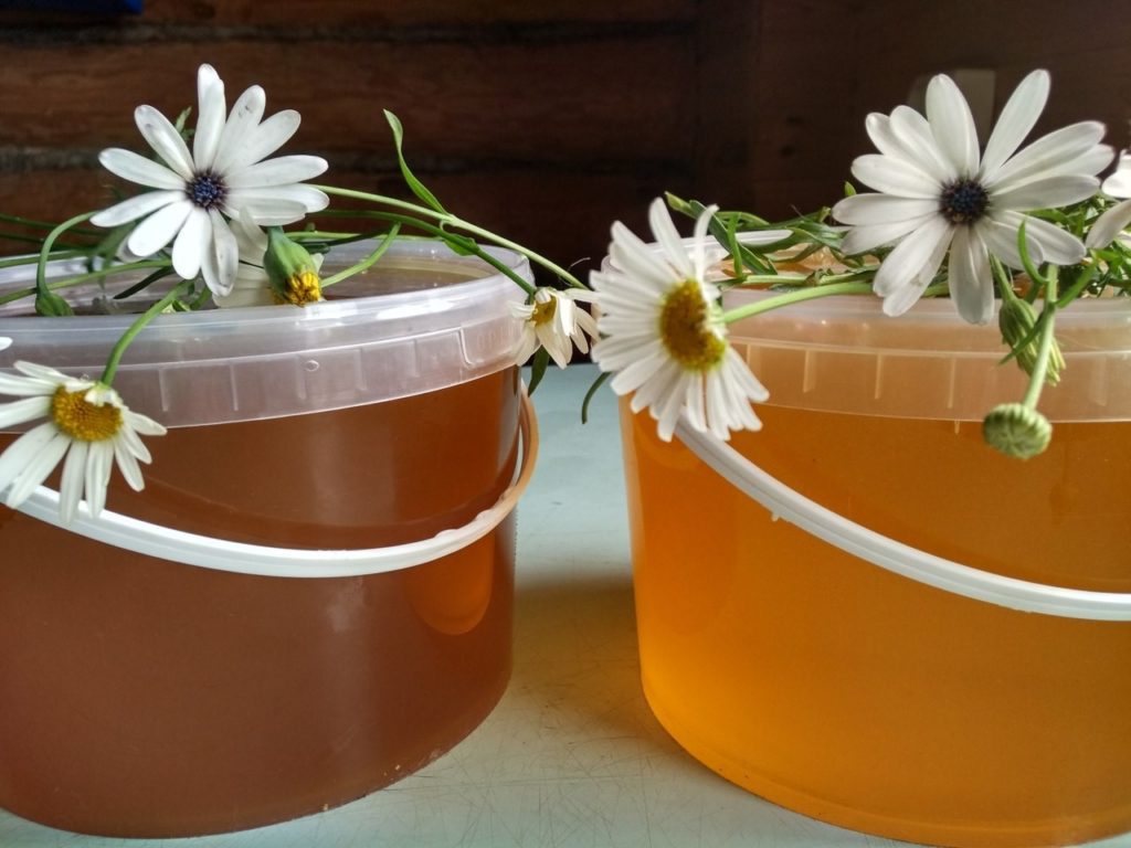 липовый и цветочный мед в пластиковых банках
